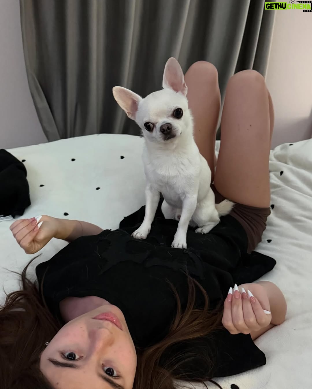 Milana Khametova - 56.3K Likes - сегодня отмечается день любви к своему домашнему питомцу!! поцелуйте своего пушистого друга от меня🤍🐶🐶
