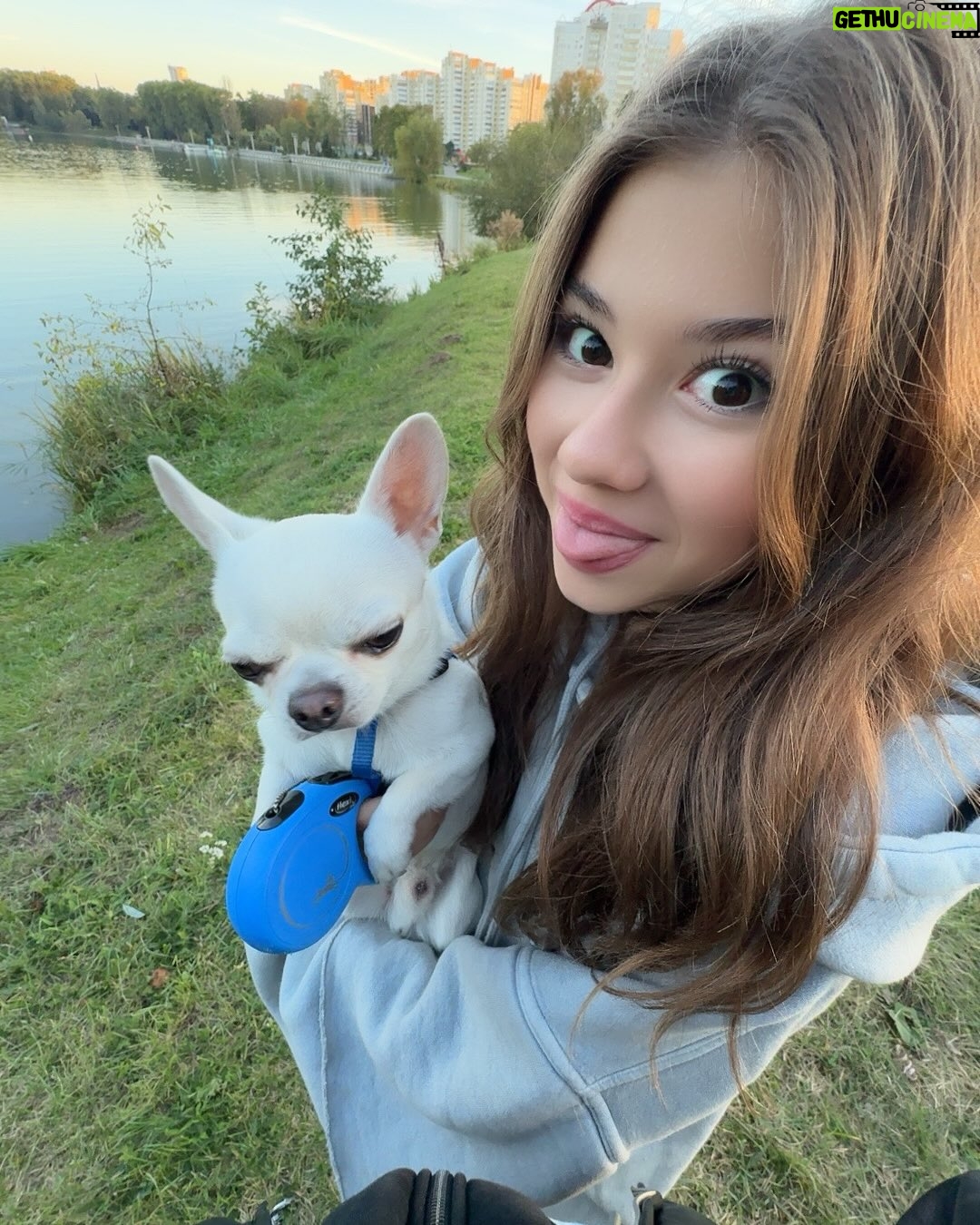 Milana Khametova - 56.3K Likes - сегодня отмечается день любви к своему домашнему питомцу!! поцелуйте своего пушистого друга от меня🤍🐶🐶