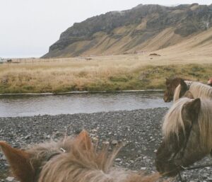Minnie Mills Instagram - Galavanting around Iceland was the experience of a lifetime! @uniqlousa showed me a great time and kept us nice and warm in the cold with their HEATTECH Cashmere :)
#UNIQLOPartner