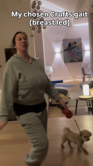 Miranda Hart Instagram - I auditioned a few @crufts walks for 2027. I think this camp no bra breast led is the winner…. Oh and Patti (but let’s face, it we watch the owners as much as the dogs)
@clarebalding feedback welcome
