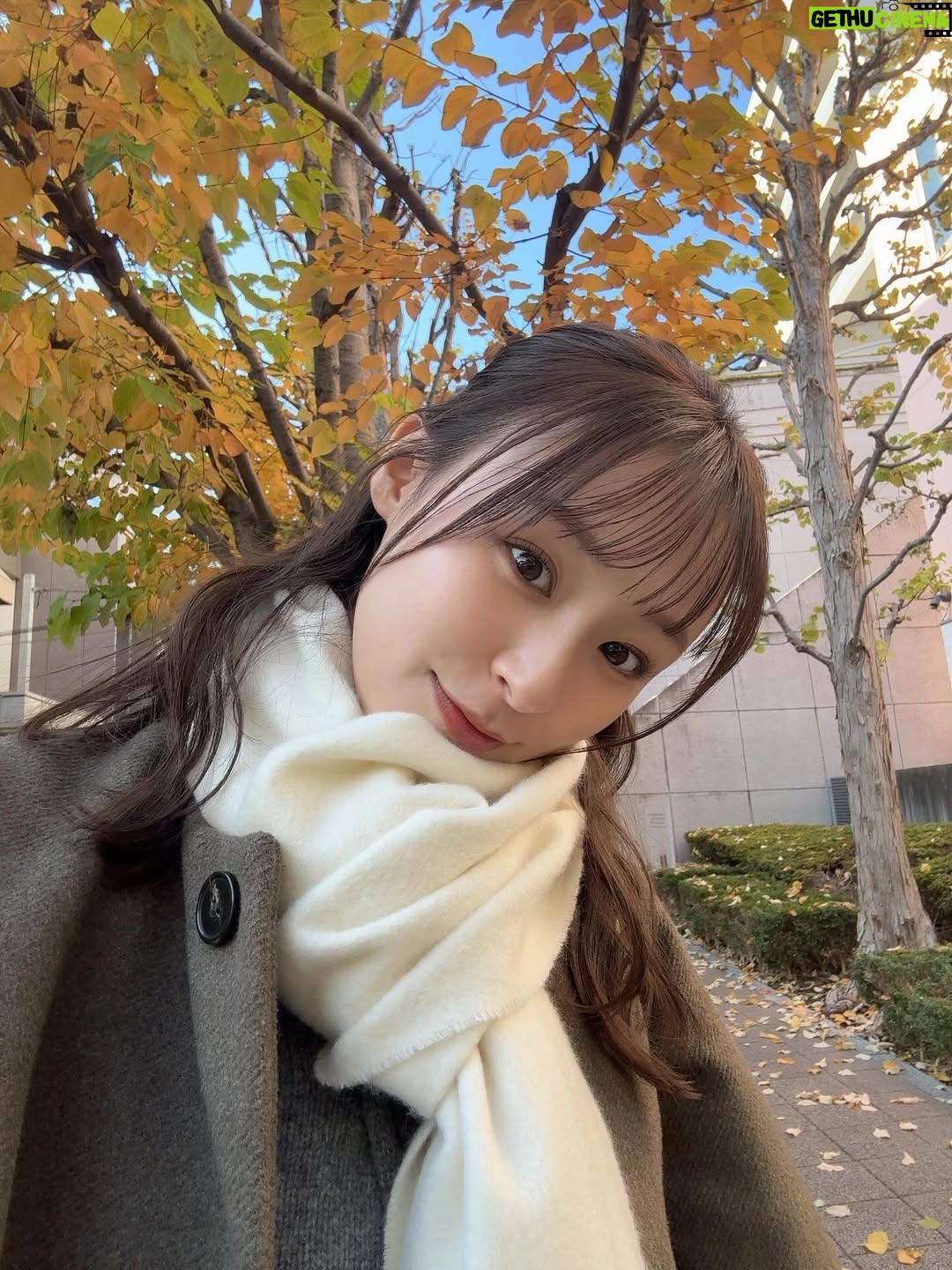 Miu Suzuki - 3 Likes - メリークリスマス🎄