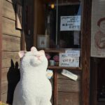 Momona Tamada