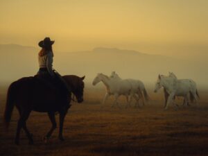 Monaris Instagram - Year of the horse in full effect. We’re moving! No hesitation