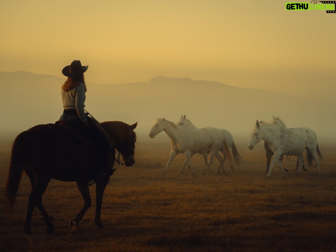 Monaris - 11.4K Likes - Year of the horse in full effect. We’re moving! No hesitation