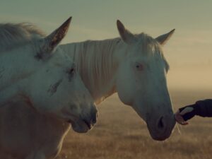 Monaris Instagram - Year of the horse in full effect. We’re moving! No hesitation