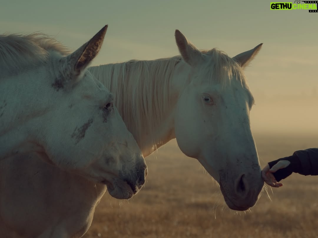 Monaris - 11.4K Likes - Year of the horse in full effect. We’re moving! No hesitation