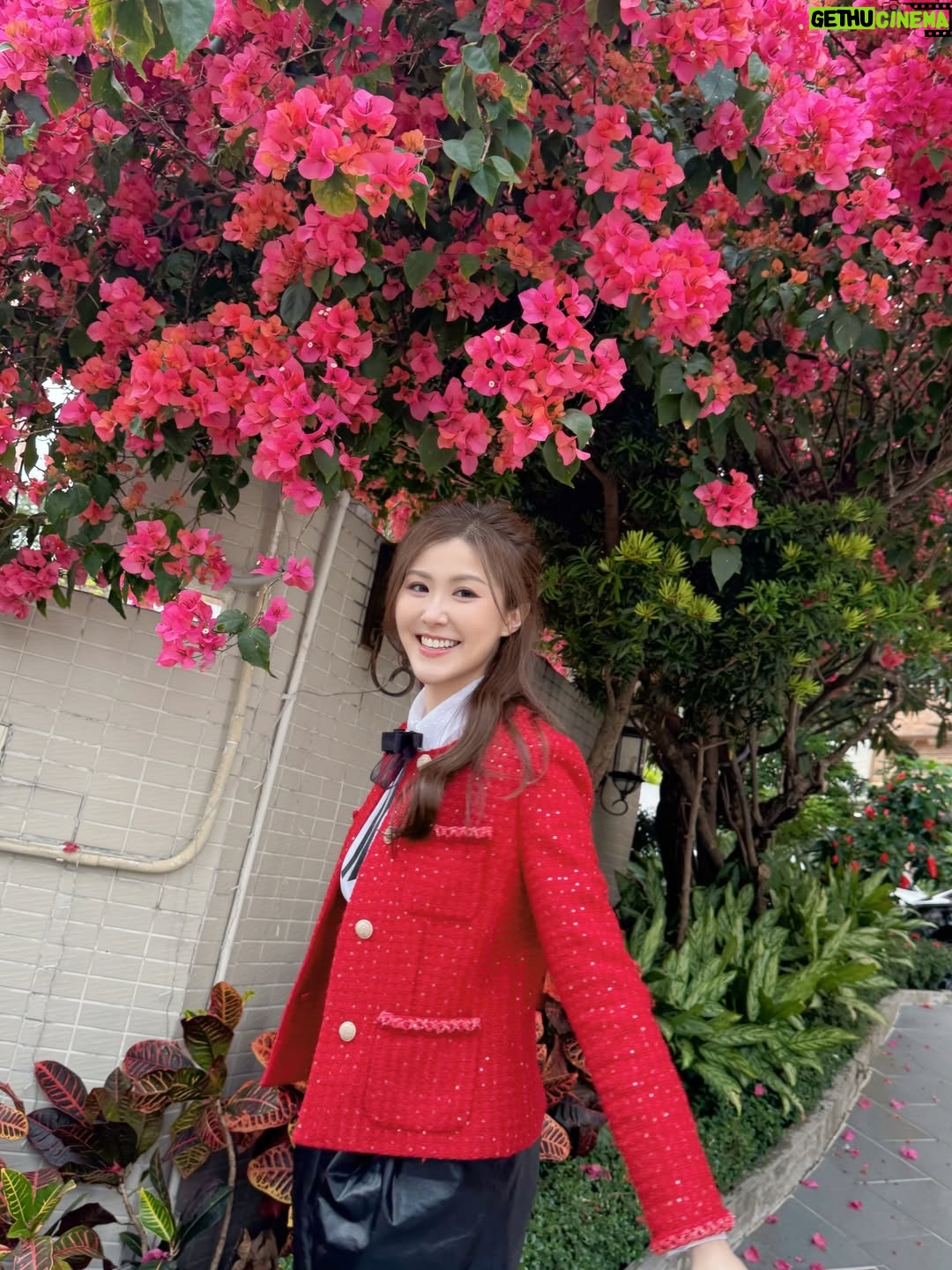Moon Lau - 23.4K Likes - ✨🎉🥳♥️新年快樂🌸🧧🥂✨
㊗️祝福大家馬年身體健康💪🏻心想事成💕財源滾滾💰萬事勝意🥰幸福快樂🌹馬到功成🐎大吉大利🍊🤩

♥️靚靚紅噹噹outfit by
@moiselleworld 

😋仲有每年一定唔少得嘅步步「糕」陞！
@ate18official
