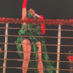 Nanda Costa