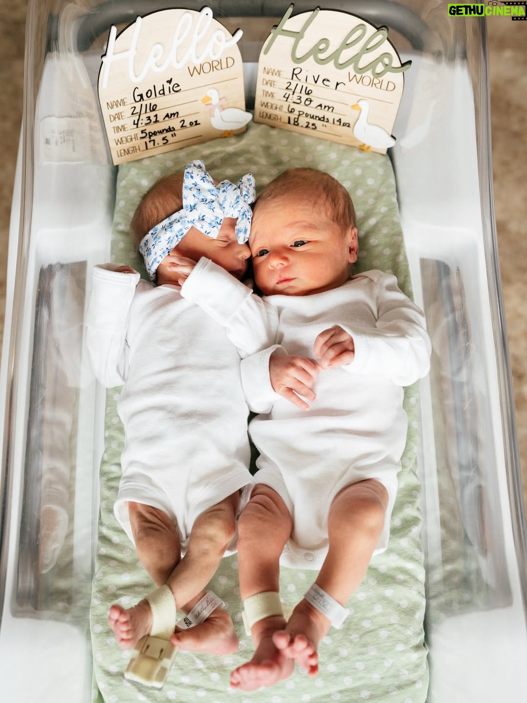 Nicole Franzel - 162.8K Likes - 🎀 Goldie Jen & 🩵 River David 

We’ve been soaking in every second with these two love bugs for the last few days. 🥹

These cuties have made our Arrow a proud big brother changing our world forever in the best way possible. 🥲

We are BEYOND blessed and grateful for God trusting us with these healthy incredible babies. 🙏🏼

Thank you for the well wishes and prayers throughout this pregnancy and delivery. We appreciate you so much. 🥰

Our hearts have never felt so full. ❤️
