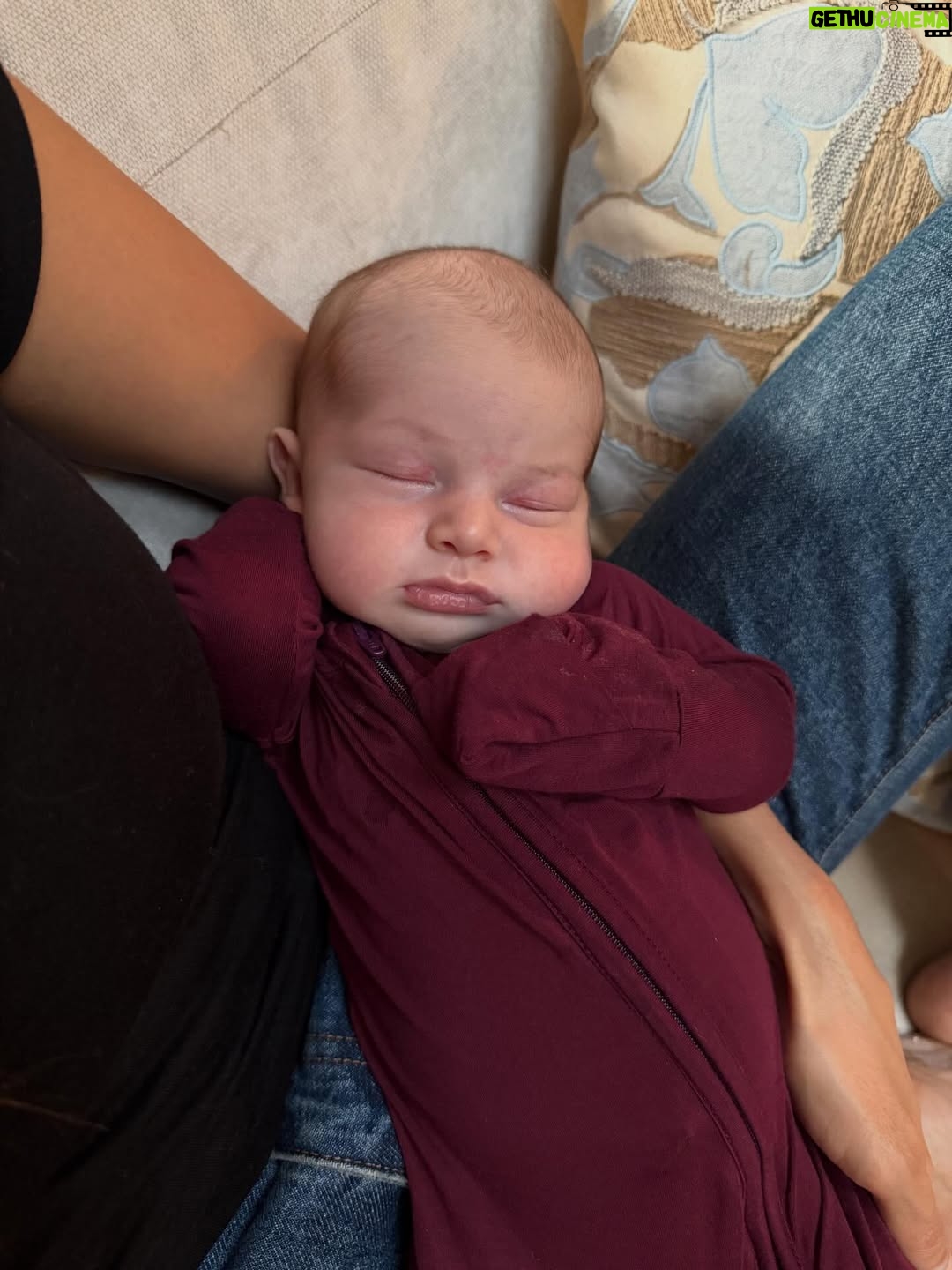 Nina Dobrev - 2 Million Likes - my new buddy just dropped 🥹🤍 welcome to the world, Bo Bruno. Congrats @nobread & @benbrunotraining. He is perfect and already so loved. I can’t wait to corrupt him. #CoolAuntieNeens