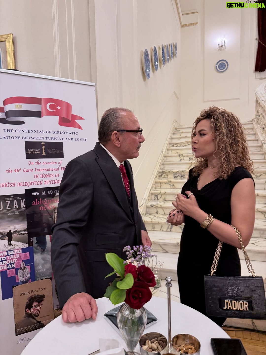 Olfat Omar - 72 Likes - I was honored to attend a reception at the residence of His Excellency the Turkish Ambassador to Egypt. Thank you for the kind invitation. @