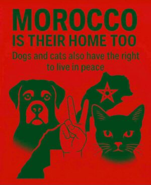 Ouidad Elma Instagram - 🇲🇦❤️They need us and we need them
🐈⬛🐶🐈🐕🐾🐶🐕🦺🐩🐾
ص