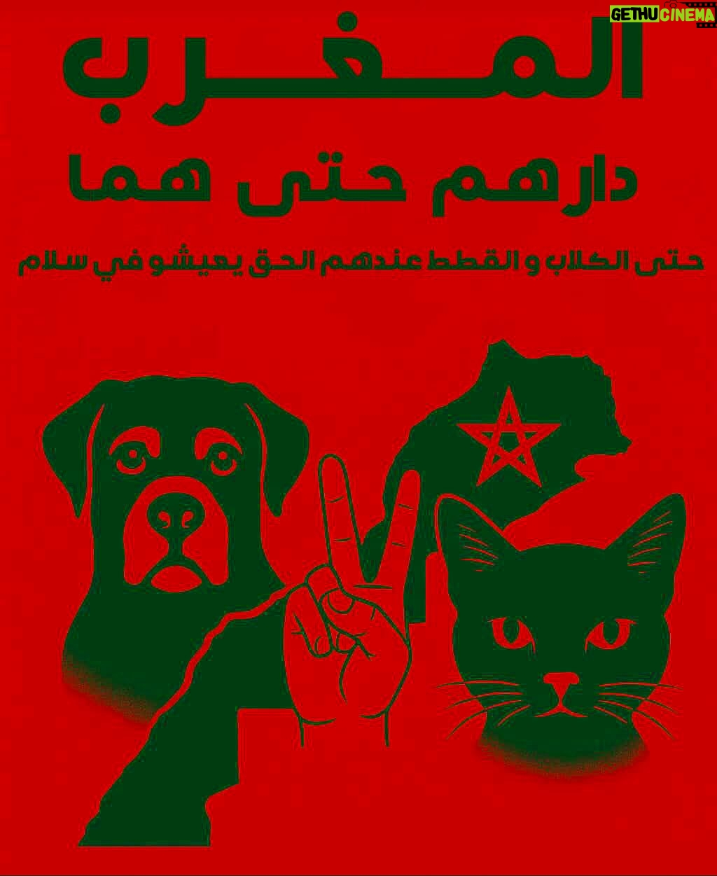 Ouidad Elma - 11.4K Likes - 🇲🇦❤️They need us and we need them 
🐈‍⬛🐶🐈🐕🐾🐶🐕‍🦺🐩🐾
ص