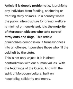 Ouidad Elma Instagram - 🇲🇦❤️They need us and we need them
🐈⬛🐶🐈🐕🐾🐶🐕🦺🐩🐾
ص