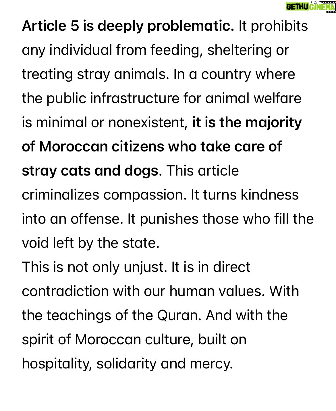 Ouidad Elma - 11.4K Likes - 🇲🇦❤️They need us and we need them 
🐈‍⬛🐶🐈🐕🐾🐶🐕‍🦺🐩🐾
ص