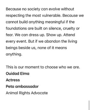 Ouidad Elma Instagram - 🇲🇦❤️They need us and we need them
🐈⬛🐶🐈🐕🐾🐶🐕🦺🐩🐾
ص