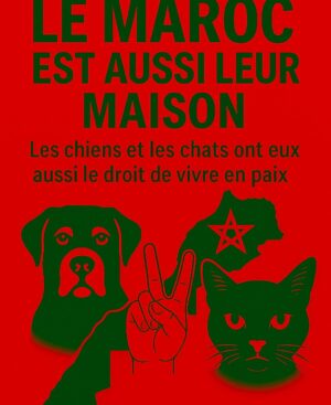 Ouidad Elma Instagram - 🇲🇦❤️They need us and we need them
🐈⬛🐶🐈🐕🐾🐶🐕🦺🐩🐾
ص