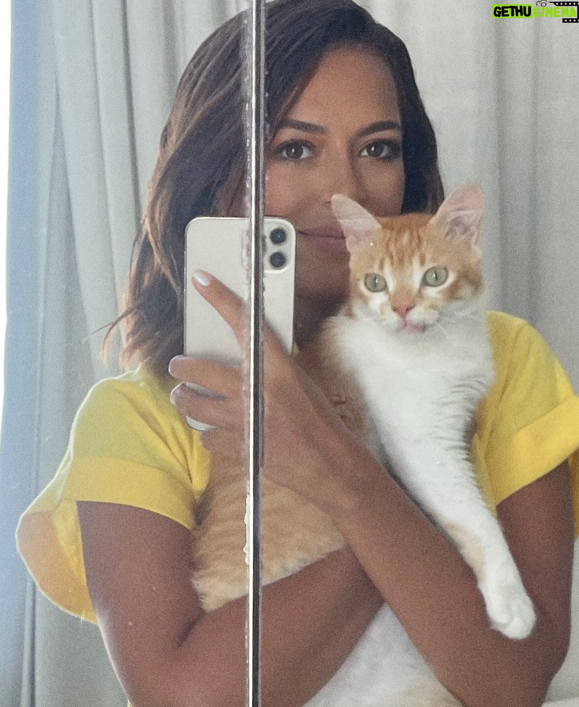 Ouidad Elma - 11.4K Likes - 🇲🇦❤️They need us and we need them 
🐈‍⬛🐶🐈🐕🐾🐶🐕‍🦺🐩🐾
ص