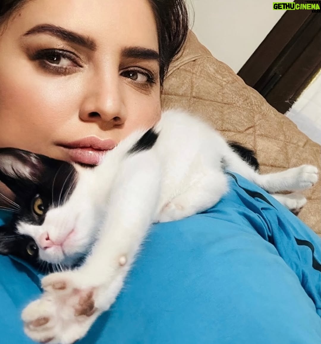 Özlem Balcı - 154 Likes - ‘Her başarılı kadının arkasında bir kedi vardır’ 🧿😻🧿
8 Mart Dünya Kadınlar Günü Kutlu Olsun🌹