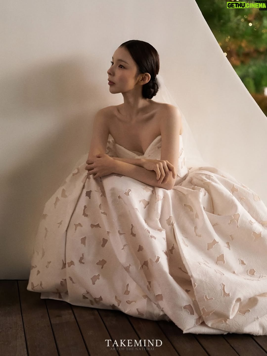 Park Jin-joo - 124.8K Likes - 제가 받았던 잊지 못할 마음과 사랑
더 큰 사랑으로 성실하게 보답할게요🕊️

(감사인사는 진심을 꾹꾹 담아내느라
속도가 굉장히 느린점 양해부탁드려요🐰사랑해요🤍)

.
.
.
.
.
.

Dress @bennette.official 
Studio @soffiso_official_ 
H/M @ha_lynne @prez_zie @sogong.geemin
Snap @takemind_official
Video @sobers_studio
Bouquet @flower_batte
Styling @firstvisual.official
Directing @lia__wedding_