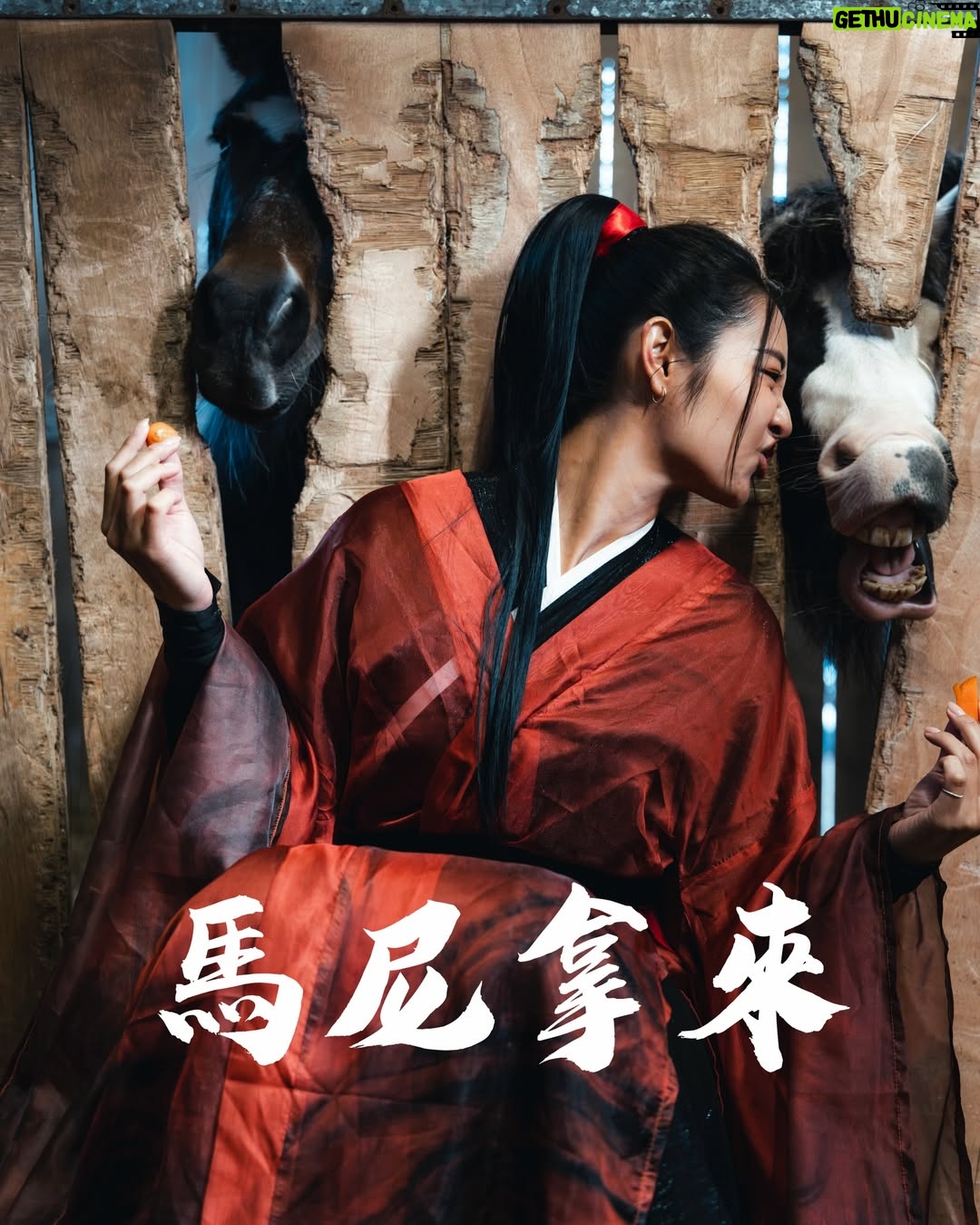 PinZi - 10.5K Likes - 新年祝福圖在此 歡迎各位轉發給朋友給他一點祝福(⁎⁍̴̛ᴗ⁍̴̛⁎)🧧
📷： @hzy.s 
#happynewyear #2026 #cosplay #disney #cover