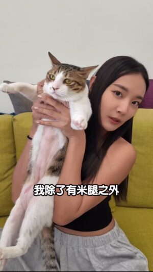 PinZi Instagram - 我手上被啃咬的疤痕之謎，不知道到底算不算得到解答了٩(˃̶͈̀௰˂̶͈́) و
反正溝通師有說黑皮在另一個世界過得挺舒服的，那我就放心啦！
可能就是我上輩子欠他的，他這輩子來跟我討吧哈哈哈
-
🦐蝦皮短影音上線啦！
🔥先註冊分潤計劃，再來上傳影片，並透過影片導單成功，現在”指定商品“還有機會可享 15% up 的分潤金ㄋㄡ！
 
人人都能當創作者！現在就使用我的推薦碼「9LYEB4E」，一起加入蝦皮分潤計畫吧🦐🦐🦐
#蝦皮短影音 #一起來蝦拚