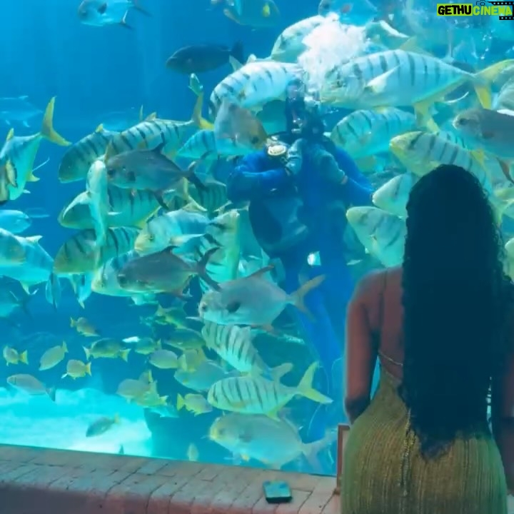 Porsha Williams - 121.5K Likes - Let me 🎶💙Moments like this 💚 @sway_thepro #BaeCation #R&R