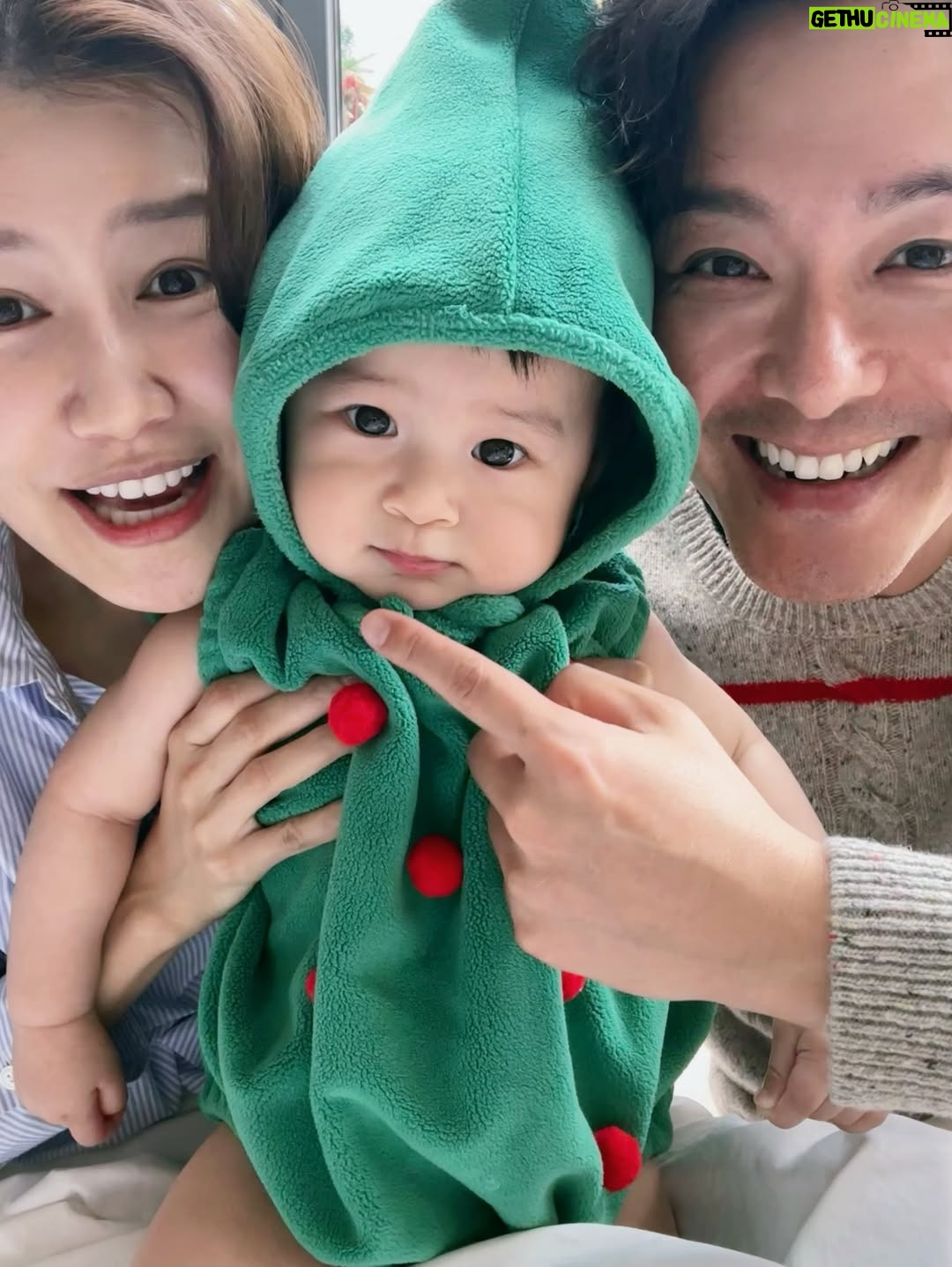 Priscilla Wong - 125.2K Likes - 平安夜
添加了一棵小樹🎄
只是小樹不太合作
變成期間限定半小時🌈
祝快樂❤️