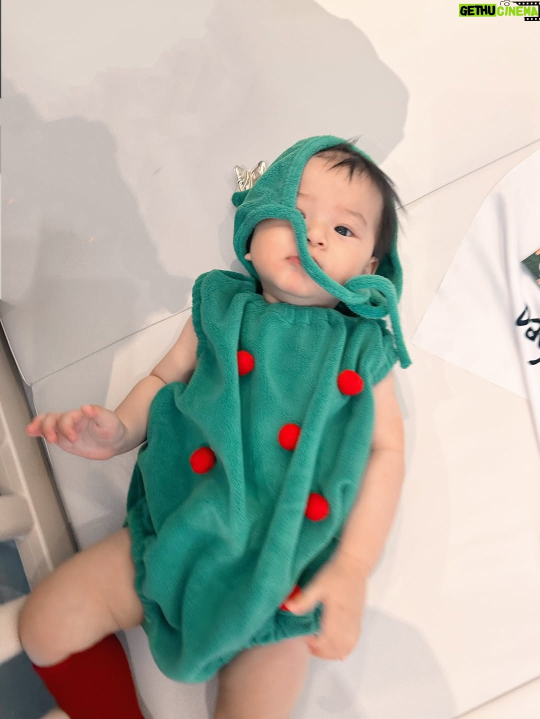 Priscilla Wong - 125.2K Likes - 平安夜
添加了一棵小樹🎄
只是小樹不太合作
變成期間限定半小時🌈
祝快樂❤️