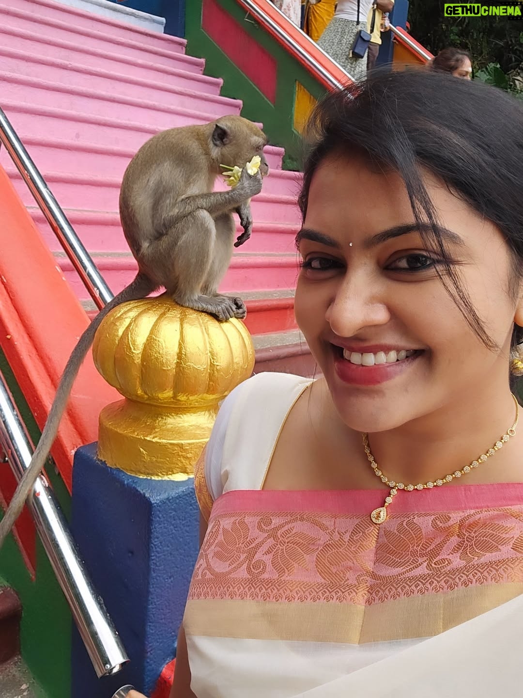 Rachitha Mahalakshmi - 100.9K Likes - 🦚kandan unai kana dinam oddi varuvaeno......✨️
😇😇😇😇😇😇
#battucaves
#battumurugan