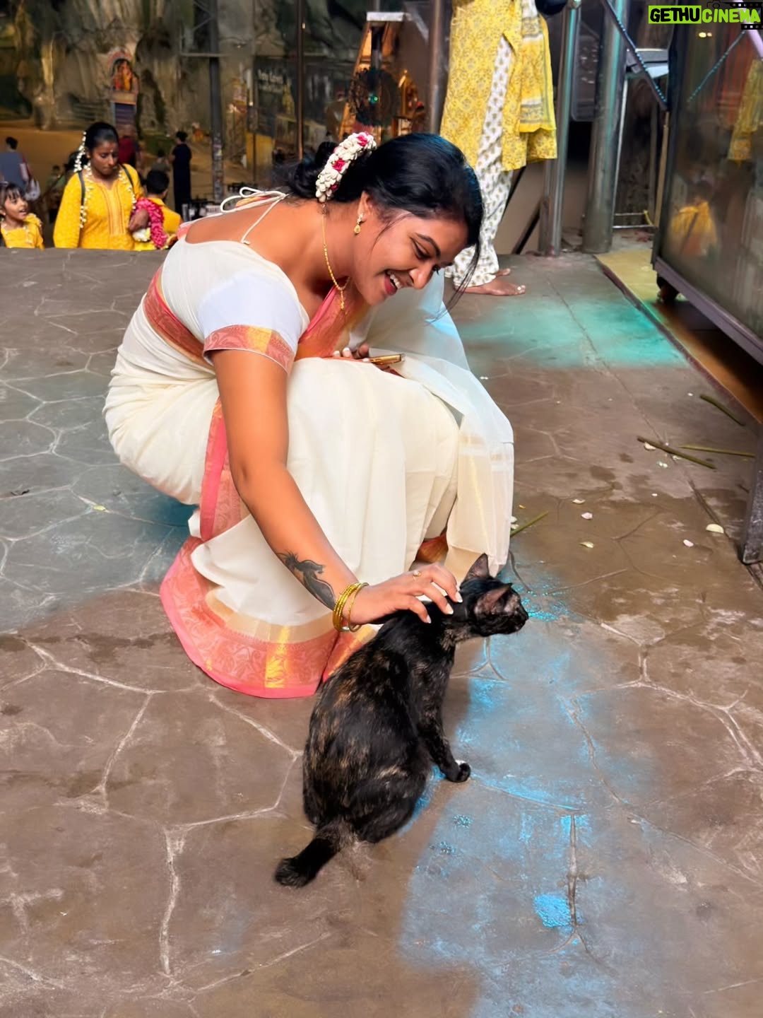 Rachitha Mahalakshmi - 100.9K Likes - 🦚kandan unai kana dinam oddi varuvaeno......✨️
😇😇😇😇😇😇
#battucaves
#battumurugan