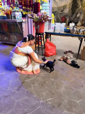 Rachitha Mahalakshmi Instagram - 🦚kandan unai kana dinam oddi varuvaeno......✨️
😇😇😇😇😇😇
#battucaves
#battumurugan