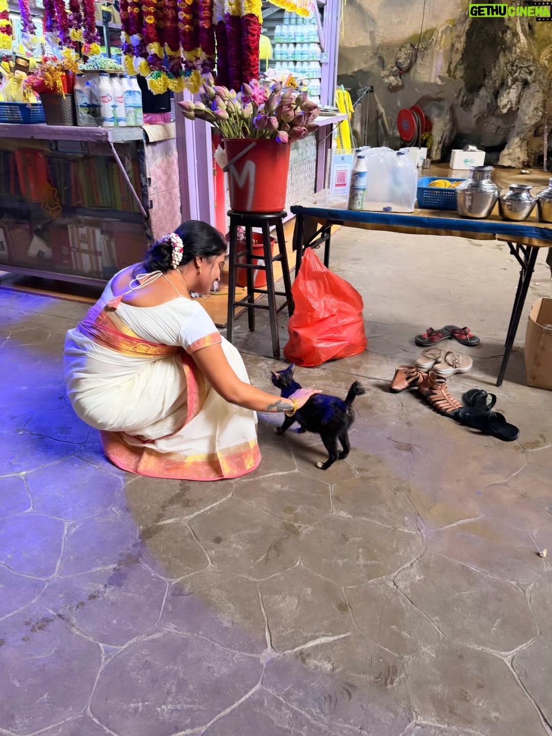 Rachitha Mahalakshmi - 100.9K Likes - 🦚kandan unai kana dinam oddi varuvaeno......✨️
😇😇😇😇😇😇
#battucaves
#battumurugan