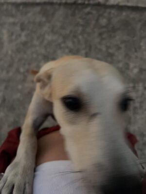 Rami Herrera Instagram - En Barranquilla me quedo
cada que vuelvo.