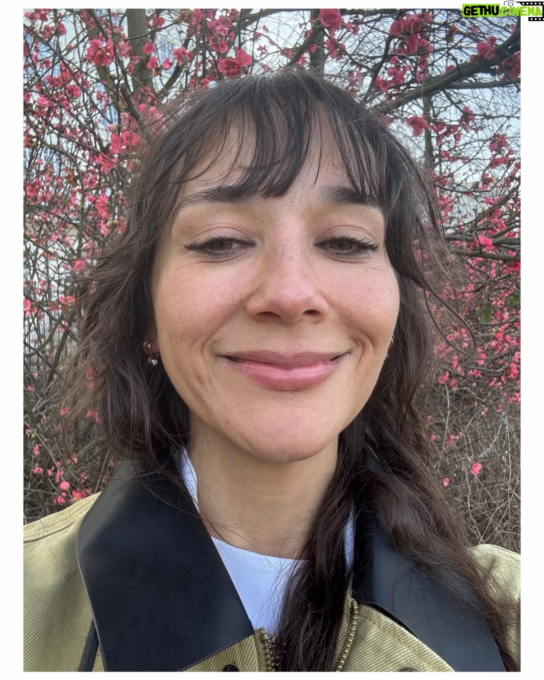 Rashida Jones - 243.8K Likes - 50 and GRATEFUL 🌸🌸🌸🌸