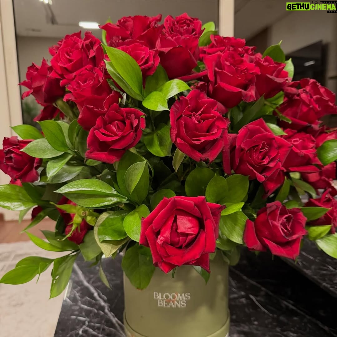 Reem Samy - 19.2K Likes - Happy Valentine’s Day to the man who holds my heart ❤️ @mohamed_elmoghazi