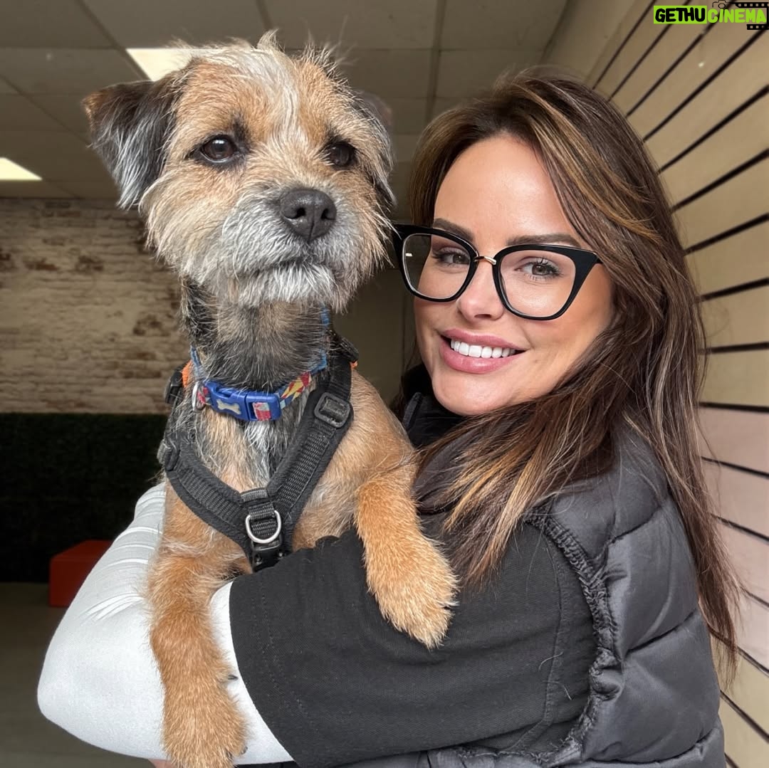 Rhian Sugden - 1.6K Likes - The Bark Yard days are the best days 🐾

I have the best job ♥️🥰

@thebarkyard.co.uk 

#StockportDogs #dogdaycare #bossbitches