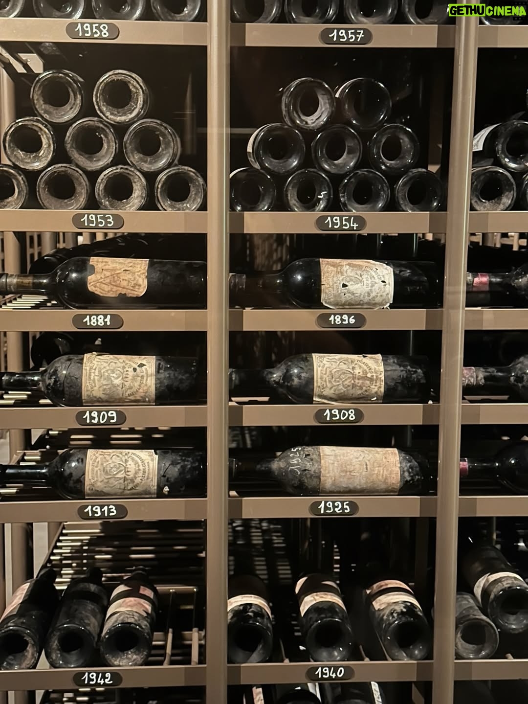 Riley Voelkel - 36.9K Likes - Still dreaming about our night at Château @pichonbaron 🍷 

A Second Grand Cru Classé from 1855 in Pauillac, where time feels suspended. The wine was perfect, the food absolutely delicious , and the company even better.

Thank you to the entire team for welcoming us so graciously, and for sharing your knowledge and passion for wine with us. Thank you for the taste of a vintage from my birth year, the perfect bubble bath, homemade croissants in the morning and for treating my daughter like a princess. A memory we’ll cherish forever, and one we hope to experience again someday 🤍

Château Pichon Baron offers private visits and tastings for those visiting Bordeaux. It’s a must and truly magical! 

And a special thank you to @charlenescape and @bernard.neveu for inviting our family and teaching us how to properly faire la bise 😘