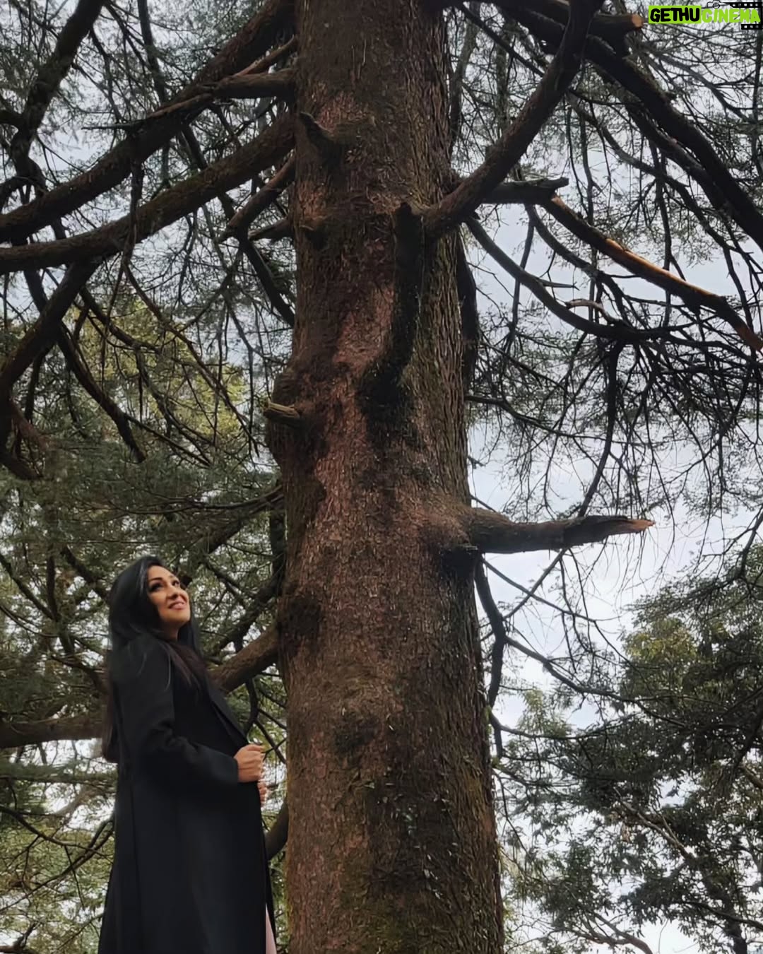 Rituparna Sengupta - 24.4K Likes - A church, a moment of stillness, and cinema in the air 🎬🤍
St. John Church, McLeodganj—visited during a film shoot, now returning as a Christmas memory. ✨🎄