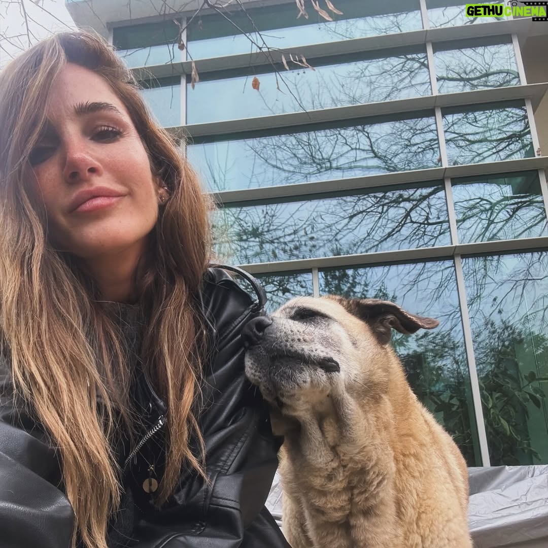 Rojda Demirer - 16.1K Likes - Selfie deyince de biz😎 #mango #doby 🐕 🐕 güzel kızlarım benimm❤️❤️