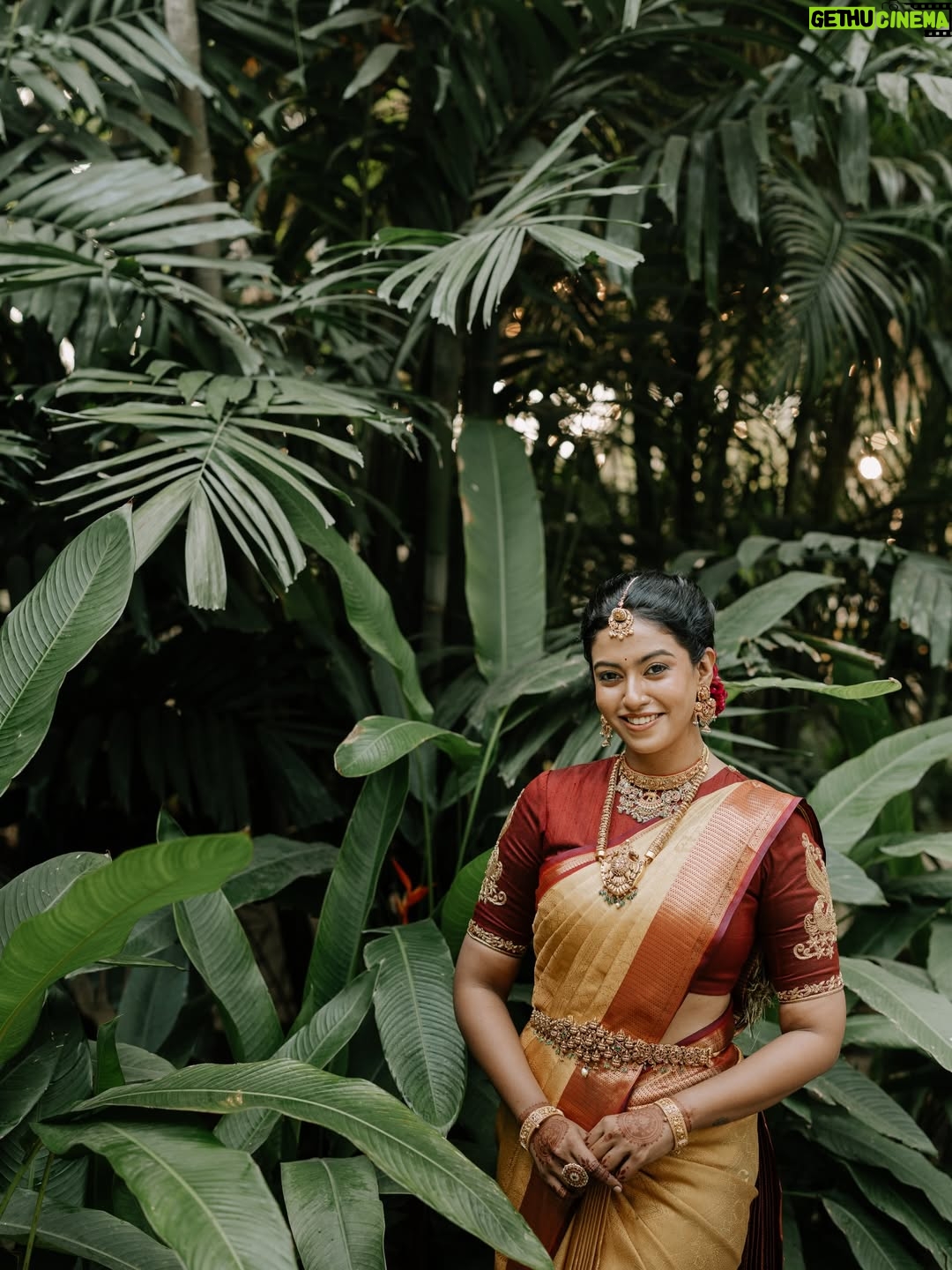 Roshini Haripriyan - 465.2K Likes - Major life update ✨
15.02.2026 ♥️ 
@roshniharipriyan & @sundaramurthyks 🫶🏼

Styled by @indu_ig 
Photography @navin.appu @therootnarratives 
Makeup @deepz_beautyjourney 
Hairstylist @sudhamakeupartistry 
Drapist @kavi_saree_drapist 
Mehendi @arhii_mehendiartist_chennai 
Jewellery @nacjewellers 
Blouse @yaradesigners 
Styling team @stylingbyajay 
Location @sppgardens 
Decors @sakthieventplanners @houseofthoranam
