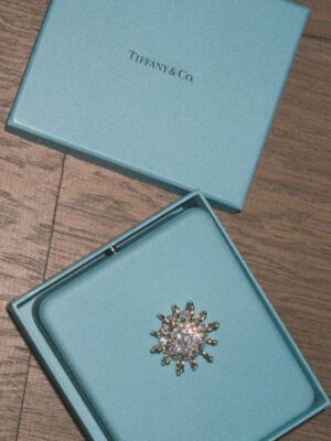 Ruby O. Fee Instagram - Anzeige |
@tiffanyandco, thank you for always being by our side with your iconic pieces lighting up these glamorous moments.