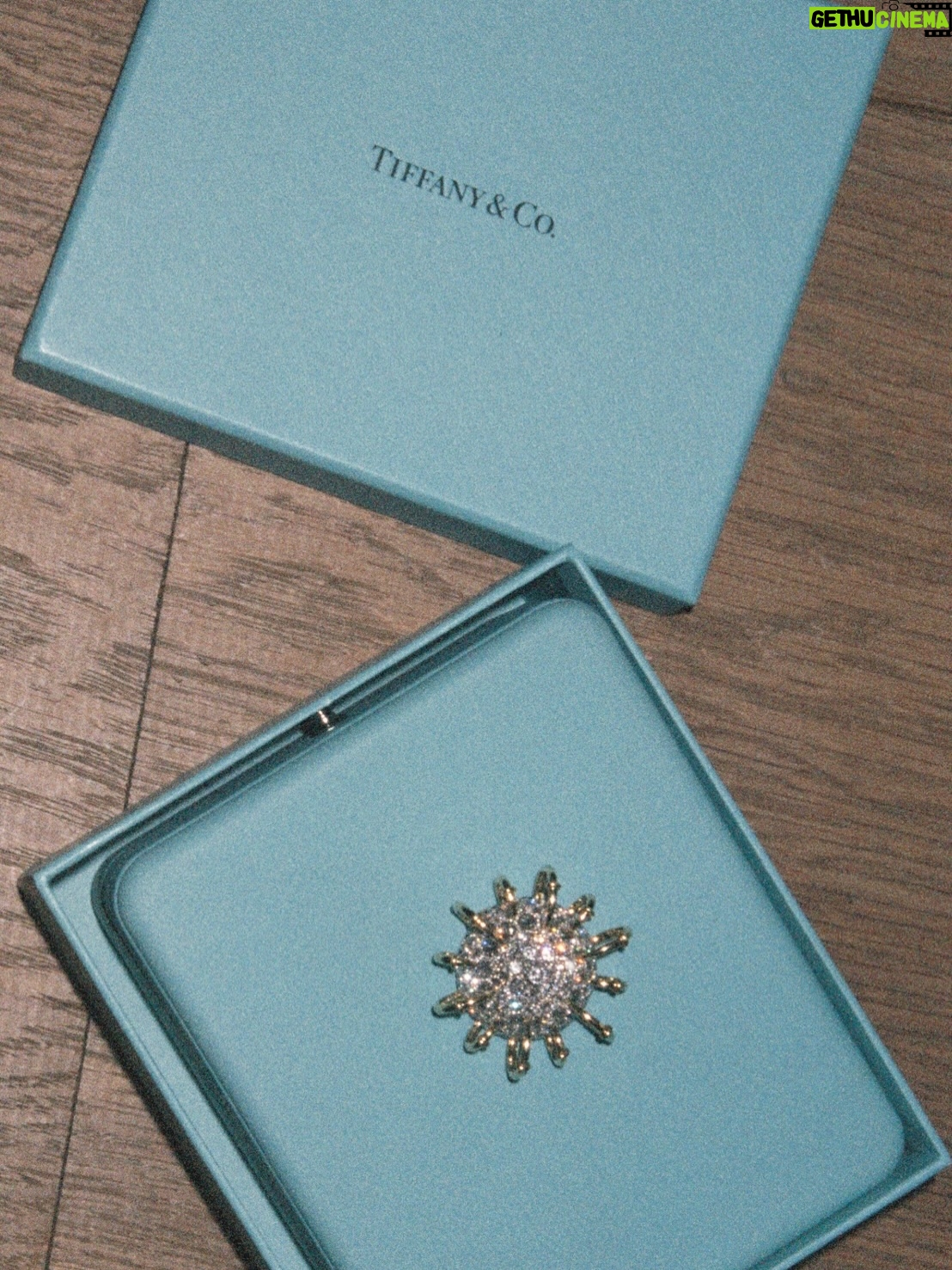 Ruby O. Fee - 40.3K Likes - Anzeige |
@tiffanyandco, thank you for always being by our side with your iconic pieces lighting up these glamorous moments.