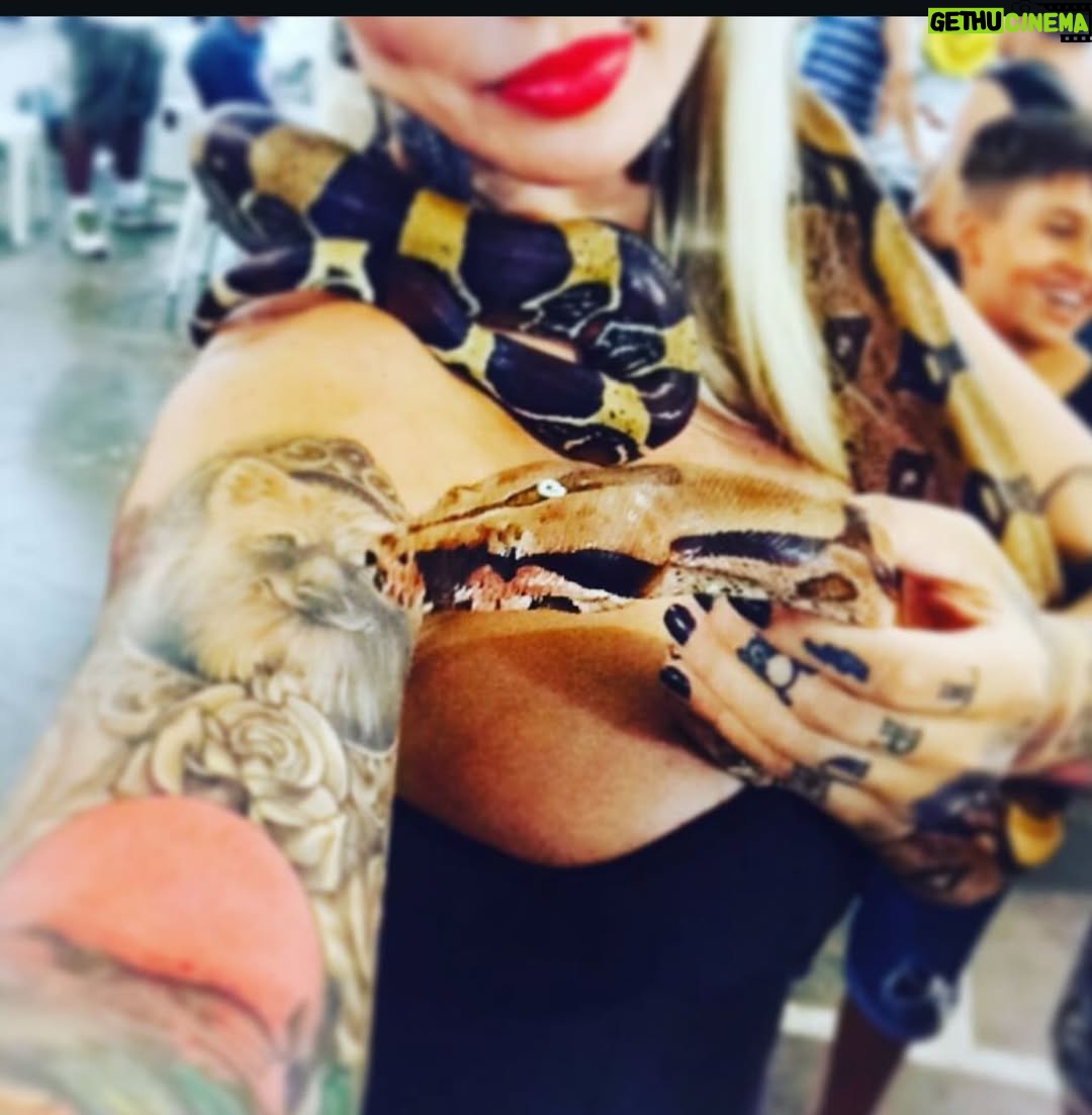 Sabrina Boing Boing - 375 Likes - #trend #2016 2016🔁2026 

Um ano bem intenso , como a maioria !  Resumo :
- Dj , convenções de tatuagem , muitas tatuagens , muitas gravações de #tv  destaque para @pgmsilviosantos 
Participei do filme #contratovitalicio @portadosfundos 
Participei do “reality” humor #oranchinho @redetv fui a grande vencedora levei 1 milhão 🌽 , amei muito vários animais entre eles a galinha “Cocó” que foi a minha companheira de gravação .
Viajei muitoooo , lembro de decepções e superações 🙌🏻
Ano do filme Esqtadrao Suicid@ eu cosplay da Arlequina e viciada em @gameofthrones  got amava a Daenerys (ainda amo) ! 

Acho que é isso !  Só decidi que vou mudar o visual 🤩