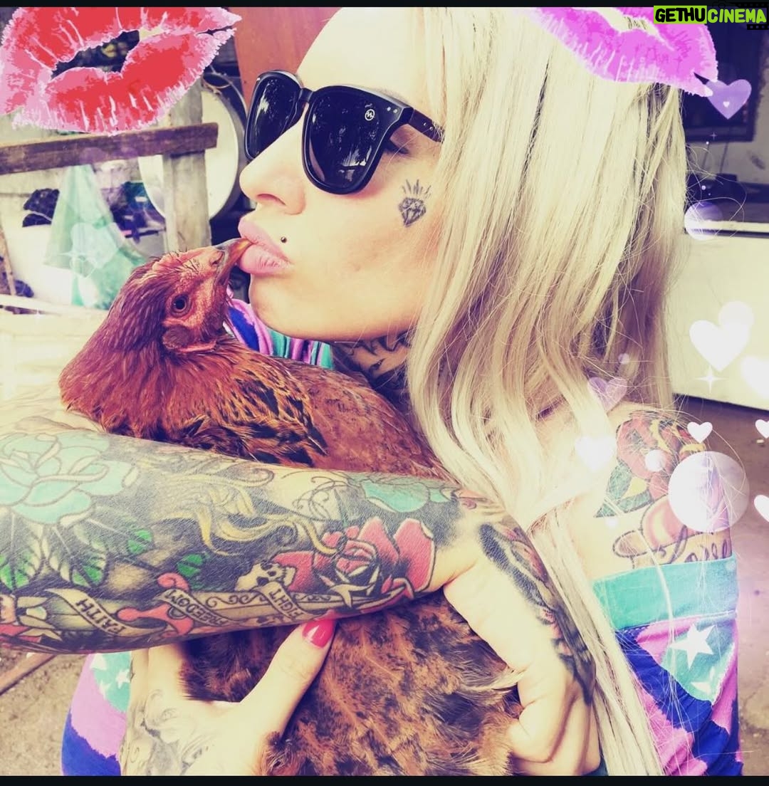 Sabrina Boing Boing - 375 Likes - #trend #2016 2016🔁2026 

Um ano bem intenso , como a maioria !  Resumo :
- Dj , convenções de tatuagem , muitas tatuagens , muitas gravações de #tv  destaque para @pgmsilviosantos 
Participei do filme #contratovitalicio @portadosfundos 
Participei do “reality” humor #oranchinho @redetv fui a grande vencedora levei 1 milhão 🌽 , amei muito vários animais entre eles a galinha “Cocó” que foi a minha companheira de gravação .
Viajei muitoooo , lembro de decepções e superações 🙌🏻
Ano do filme Esqtadrao Suicid@ eu cosplay da Arlequina e viciada em @gameofthrones  got amava a Daenerys (ainda amo) ! 

Acho que é isso !  Só decidi que vou mudar o visual 🤩