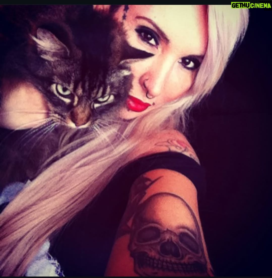 Sabrina Boing Boing - 375 Likes - #trend #2016 2016🔁2026 

Um ano bem intenso , como a maioria !  Resumo :
- Dj , convenções de tatuagem , muitas tatuagens , muitas gravações de #tv  destaque para @pgmsilviosantos 
Participei do filme #contratovitalicio @portadosfundos 
Participei do “reality” humor #oranchinho @redetv fui a grande vencedora levei 1 milhão 🌽 , amei muito vários animais entre eles a galinha “Cocó” que foi a minha companheira de gravação .
Viajei muitoooo , lembro de decepções e superações 🙌🏻
Ano do filme Esqtadrao Suicid@ eu cosplay da Arlequina e viciada em @gameofthrones  got amava a Daenerys (ainda amo) ! 

Acho que é isso !  Só decidi que vou mudar o visual 🤩