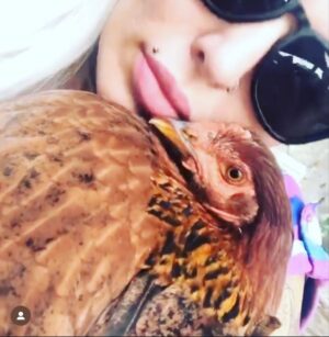 Sabrina Boing Boing Instagram - #trend #2016 2016🔁2026 

Um ano bem intenso , como a maioria !  Resumo :
- Dj , convenções de tatuagem , muitas tatuagens , muitas gravações de #tv  destaque para @pgmsilviosantos 
Participei do filme #contratovitalicio @portadosfundos 
Participei do “reality” humor #oranchinho @redetv fui a grande vencedora levei 1 milhão 🌽 , amei muito vários animais entre eles a galinha “Cocó” que foi a minha companheira de gravação .
Viajei muitoooo , lembro de decepções e superações 🙌🏻
Ano do filme Esqtadrao Suicid@ eu cosplay da Arlequina e viciada em @gameofthrones  got amava a Daenerys (ainda amo) ! 

Acho que é isso !  Só decidi que vou mudar o visual 🤩