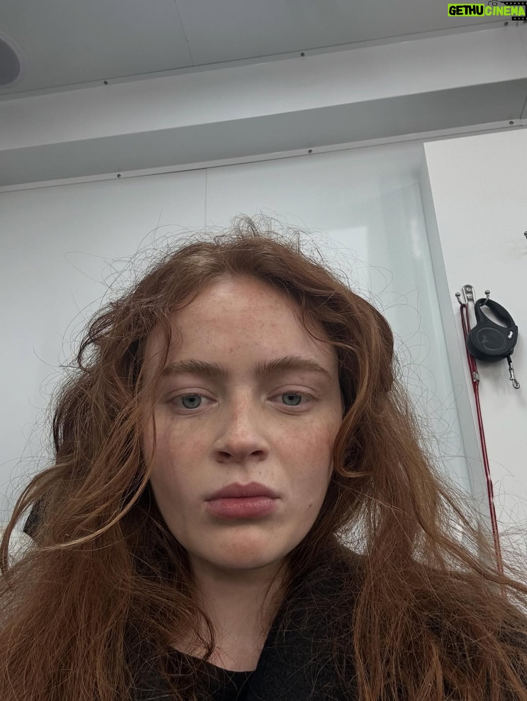 Sadie Sink - 6.3 Million Likes - Volume 2 out in one week.