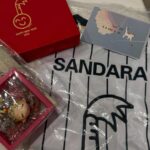 Sandara Park