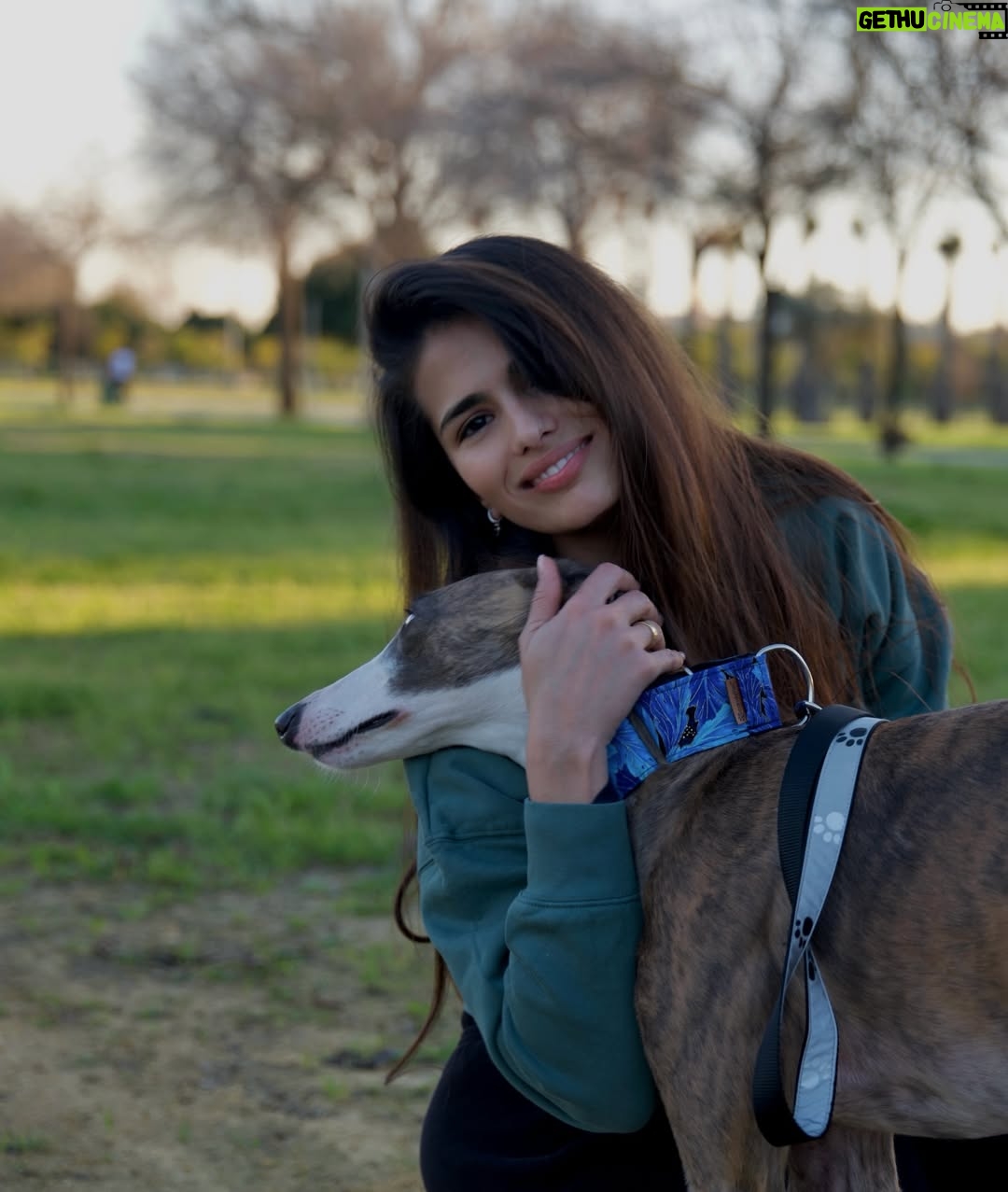 Sara Sálamo - 112.5K Likes - Hubo una etapa de nuestra vida en la que éramos diez en casa.
Cinco perros, cinco humanos, ruido, pelos y felicidad.

Coco se fue hace unos años. Miel hace unos meses.
Y quien ha querido a un animal sabe que no “es un perro”. Es familia. Y cuando se van, dejan un silencio ensordecedor.

Hace unas semanas sentimos que teníamos espacio y amor que dar en nuestra casa y fuimos a dos refugios. Solo con la idea primero de mirar a los ojos y ver qué pasaba.

Y pasó.

Valle, una galga loca, elegante y con esa mezcla de nobleza y locura que tienen los galgos rescatados, nos robó el corazón. Y aunque es una destrozona en casa, nunca imaginamos que podría ser tan divertida. Gracias @siemprefielprotectora por traerla a nuestra vida.

Y luego apareció Gupi, pequeña, mestiza, con cara de zorrito y una energía que nos enamoró desde la primera vez que la vimos en @uprodea_doshermanas . Sobre todo, los más pequeños de la casa. Un flechazo de esos que dicen.

Ahora son cinco otra vez:
Drama, Terra, Doggie… y las nuevas, Valle y Gupi.

No hemos comprado. Hemos adoptado.
Porque hay miles de perros esperando en refugios, invisibles, maravillosos, llenos de amor listo para dar.
Porque cada adopción libera espacio para otro y porque sentimos que no debería haber otra forma de hacer las cosas después de ver a decenas de ellos esperando con esos ojitos el tener una familia donde tener una vida bonita.

Si estás pensando en sumar un miembro a tu familia, mira primero a los que esperan detrás de una jaula.

Adoptar no es un gesto bonito. Es una decisión responsable.
Y cambia dos vidas: la suya… y la tuya. 🥹🫶🏼

#AdoptaNoCompres #AdopciónResponsable